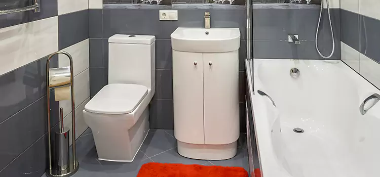 Hansgrohe Shaving Mirror South Whittier